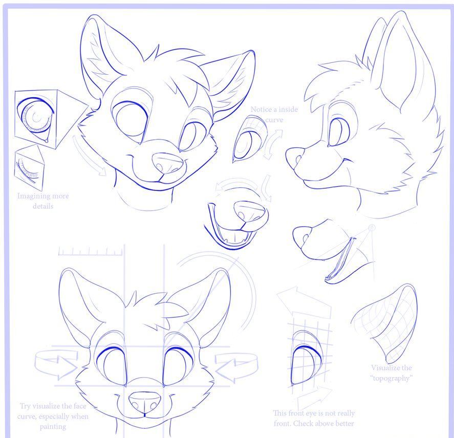 How To Draw A Furry Step By Step Easy