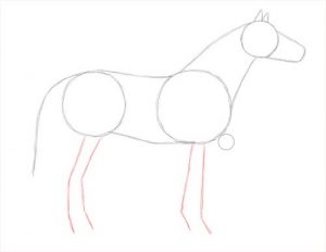 How To Draw A Horse Step By Step Guide