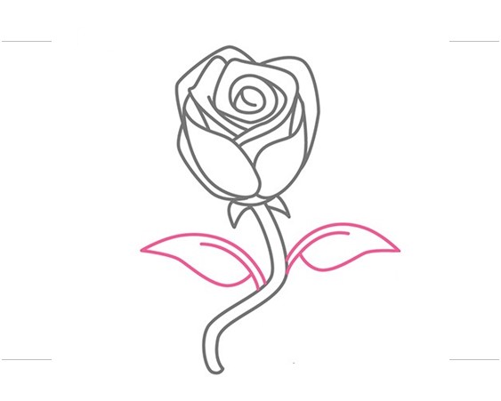  How to Draw a Rose Step By Step Guide 