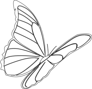 How To Draw Butterfly Step By Step Guide How To Draw