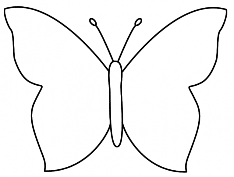 How to Draw Butterfly : Step By Step Guide