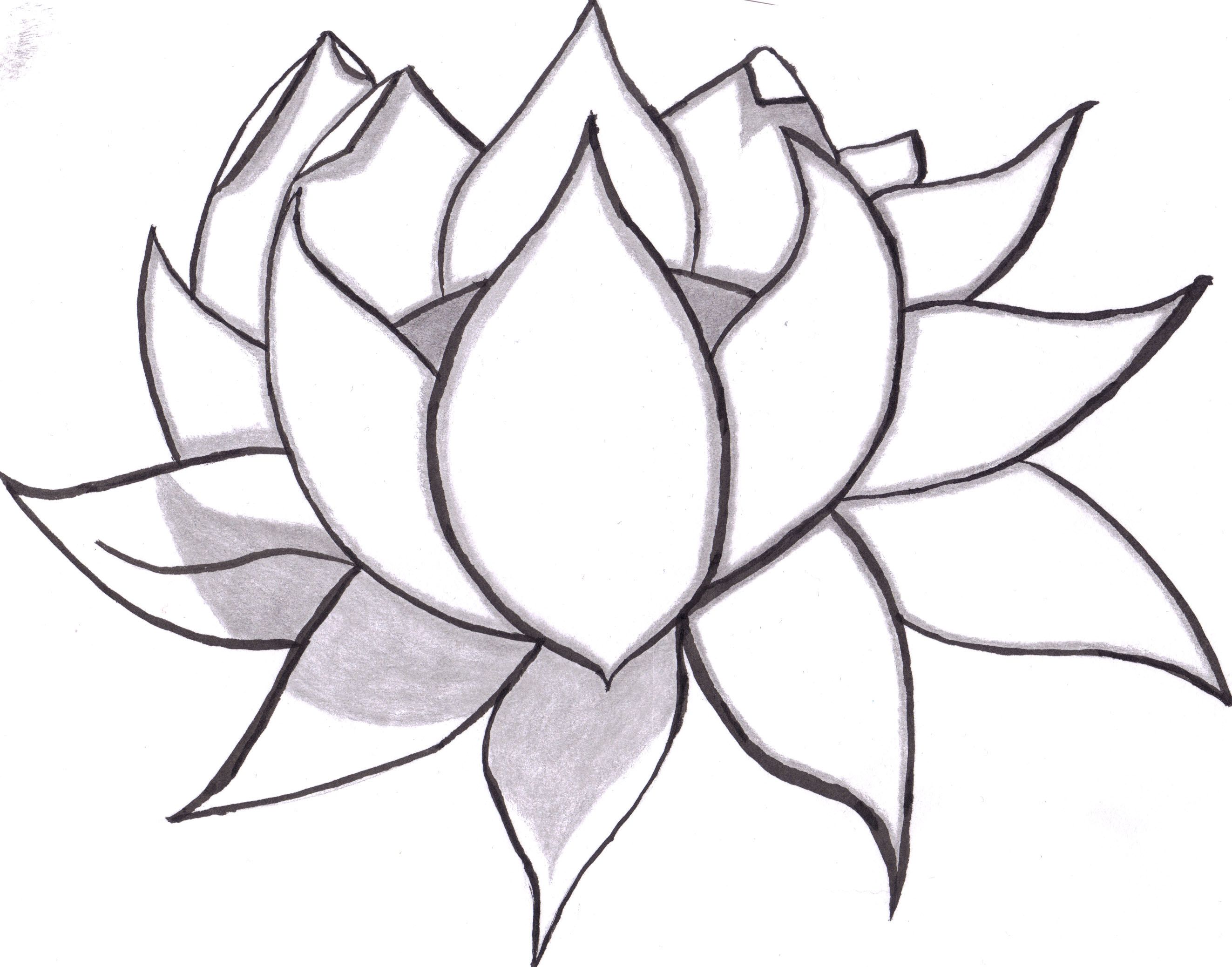 How To Draw A Flower Step By Step Guide