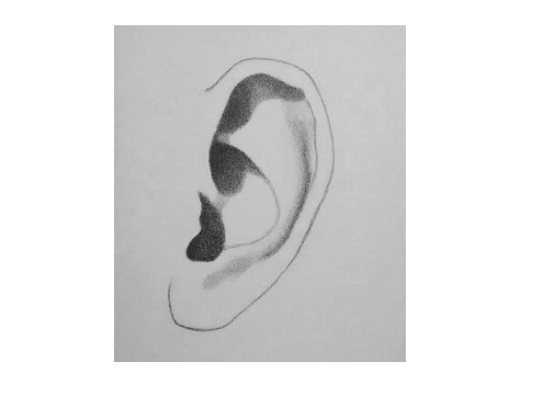 Как рисовать уши поэтапно