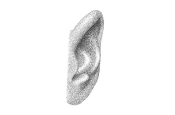 Dalla parte anteriore per disegnare le orecchie