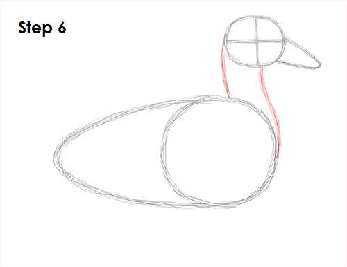 Passo a Passo Desenhar Pato