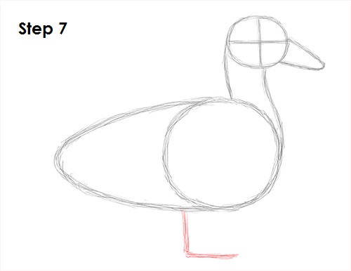 Schritt für Schritt Ente zeichnen