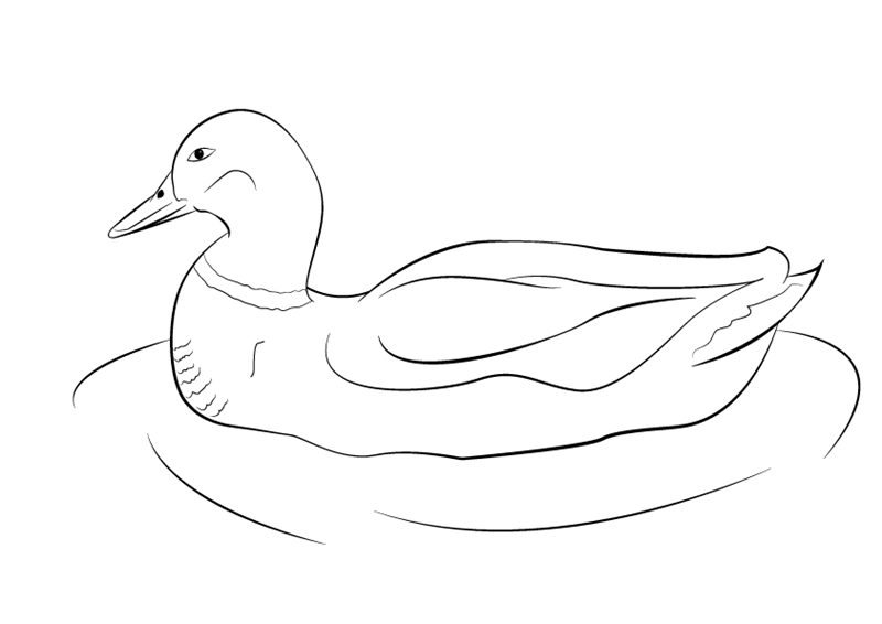 Cómo dibujar un pato
