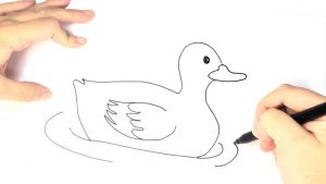Draw a Duck for Kids