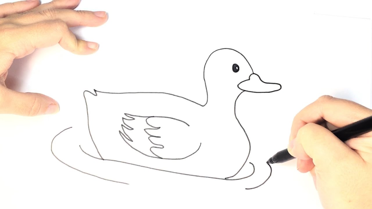 dibujar un pato para niños