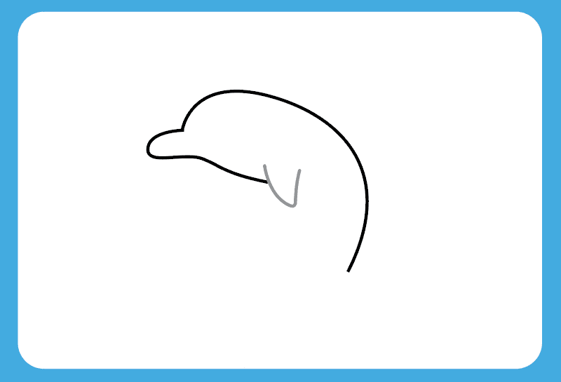 Как нарисовать дельфина шаг за шагом