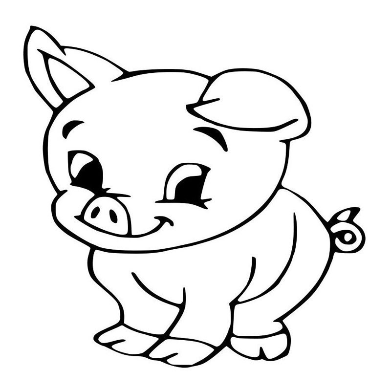 Как нарисовать милую свинку