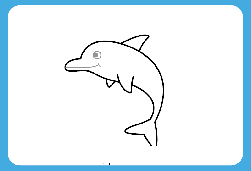 How to Draw Dolphin Step by Step