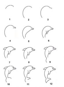 Draw a Dolphin Easy