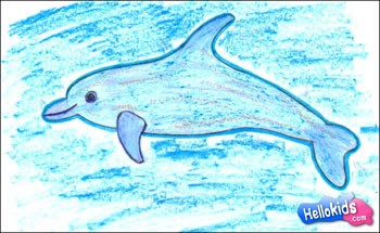Méthode pour dessiner un grand dauphin