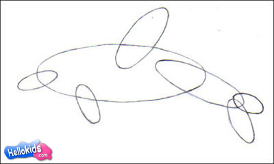 Método para dibujar un delfín mular