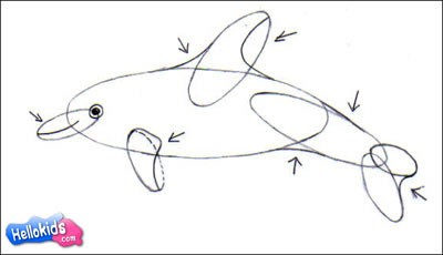 ハンドウイルカの描き方