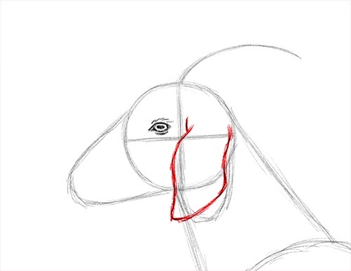 Cómo dibujar una cara de cabra