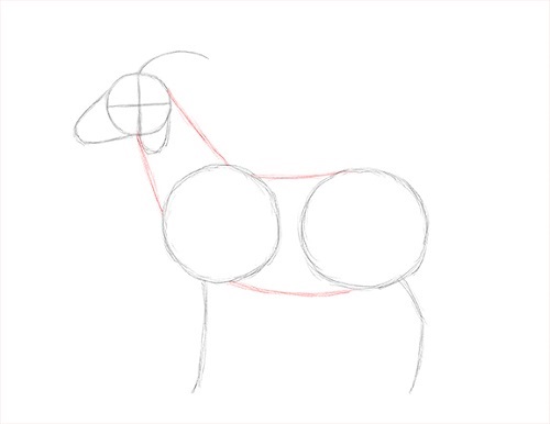 Easy Way to Draw a Goat