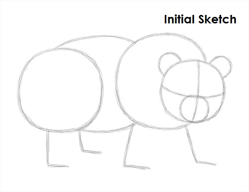 Wie man einen Panda Schritt für Schritt mit dem Bleistift zeichnet