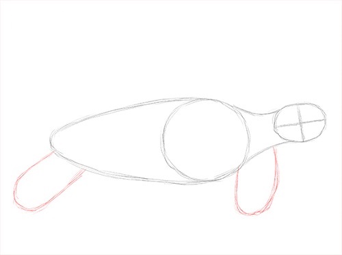 Hoe een realistische schildpad te tekenen