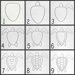 How To Draw a Sea Turtle Step By Step