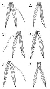 How to Draw a Fishtail Braid 