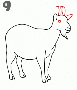 Dibujar paso a paso una cabra