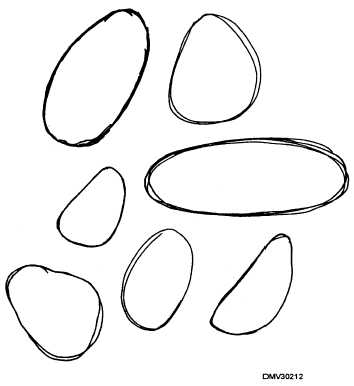 كيفية رسم شكل بيضوي مرفوع 