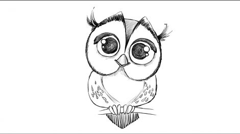 How to Draw An Owl : Step By Step Guide