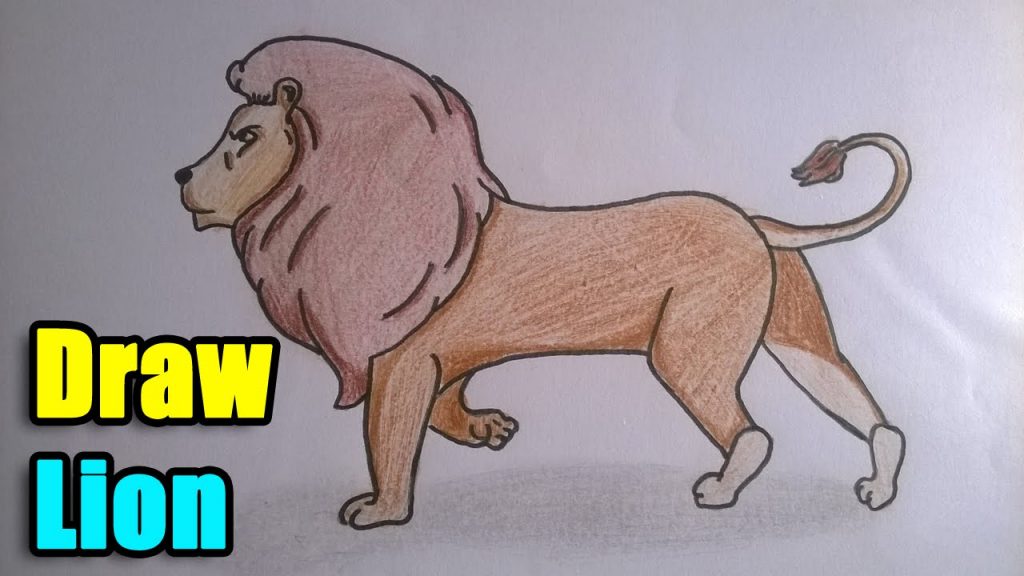 How To Draw A Lion Paw Keeton Theut1965